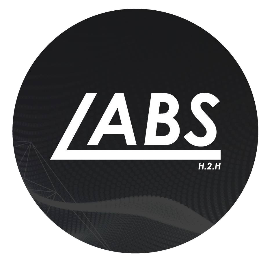 IT Labs logo