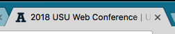 Page Title shown in web browser tab